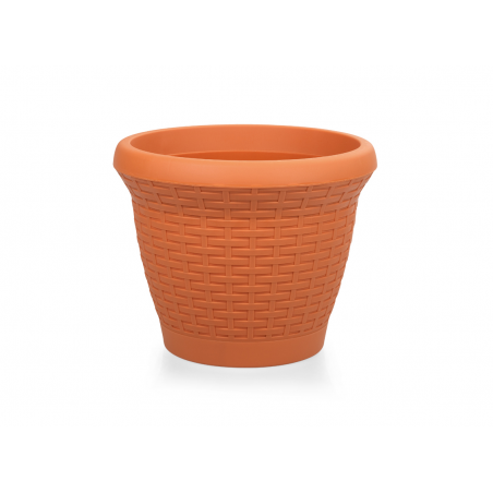 Terracotta