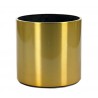 Stainless Gold 35cm