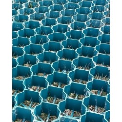 Grass Protection Grid