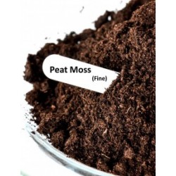 Peat Moss