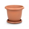 Terracotta