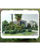 Maintenance & Landscaping