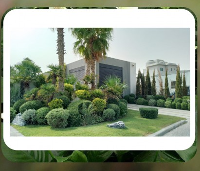 Landscaping & Maintenance